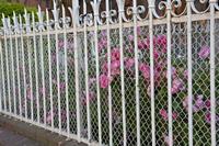 Cjp_2012_06_20_062538.jpg