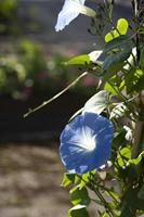 Cjp_2012_06_20_072640.jpg