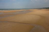 Cjp_2012_06_20_162818.jpg