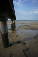 Cjp_2012_06_20_171908.jpg