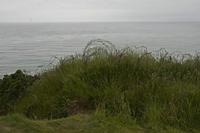 Cjp_2012_06_21_065542.jpg