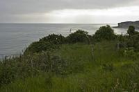Cjp_2012_06_21_065552.jpg