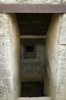 Cjp_2012_06_21_065826.jpg