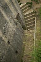 Cjp_2012_06_21_065939.jpg