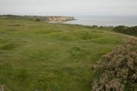 Cjp_2012_06_21_070704.jpg