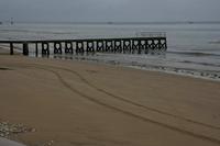 Cjp_2012_06_21_074458.jpg