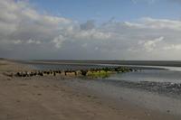 Cjp_2012_06_22_052332.jpg