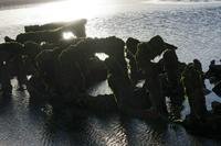Cjp_2012_06_22_052448.jpg