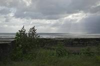 Cjp_2012_06_22_060324.jpg