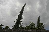 Cjp_2012_06_22_131729.jpg