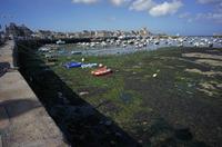 Cjp_2012_06_22_153239.jpg