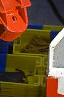Cjp_2012_06_22_162601.jpg