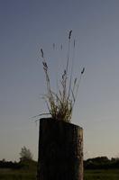 Cjp_2012_06_22_182202.jpg
