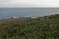 Cjp_2012_06_23_054108.jpg