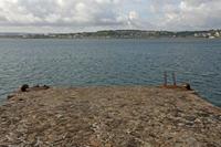 Cjp_2012_06_23_065020.jpg