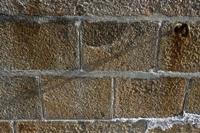 Cjp_2012_06_23_065650.jpg