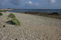 Cjp_2012_06_23_081018.jpg