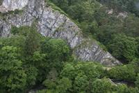 Cjp_2012_06_24_072006.jpg