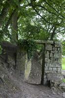 Cjp_2012_06_24_072526.jpg