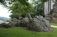 Cjp_2012_06_24_073014.jpg