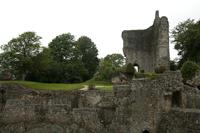 Cjp_2012_06_24_074640.jpg