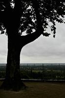 Cjp_2012_06_24_074808.jpg