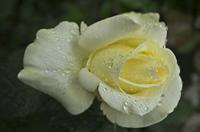 Cjp_2012_06_24_135046.jpg