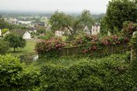 Cjp_2012_06_25_061250.jpg