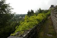 Cjp_2012_06_25_062418.jpg