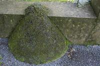 Cjp_2012_06_25_073420.jpg