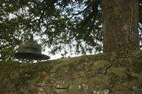 Cjp_2012_06_25_084218.jpg