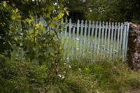 Cjp_2012_06_25_085518.jpg