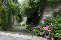 Cjp_2012_06_25_090950.jpg