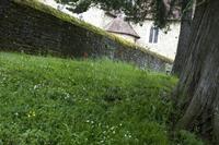 Cjp_2012_06_25_091510.jpg