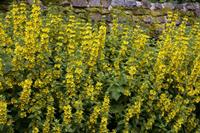 Cjp_2012_06_25_093552.jpg