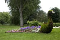 Cjp_2012_06_25_132100.jpg