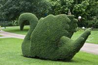 Cjp_2012_06_25_132118.jpg