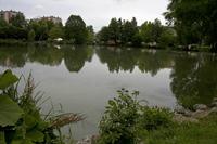 Cjp_2012_06_25_132410.jpg
