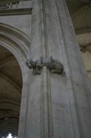 Cjp_2012_06_25_142944.jpg