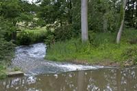 Cjp_2012_06_26_051458.jpg