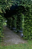 Cjp_2012_06_26_052422.jpg
