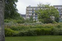 Cjp_2012_06_26_052442.jpg