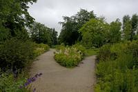Cjp_2012_06_26_052634.jpg