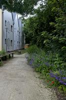 Cjp_2012_06_26_052700.jpg