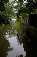 Cjp_2012_06_26_052740.jpg