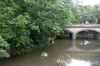 Cjp_2012_06_26_053252.jpg