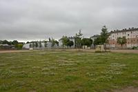 Cjp_2012_06_26_061738.jpg