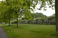 Cjp_2012_06_26_062316.jpg