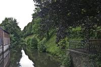 Cjp_2012_06_26_114808.jpg