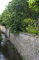 Cjp_2012_06_26_125428.jpg